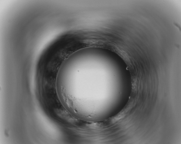 X0000095930430200801181444