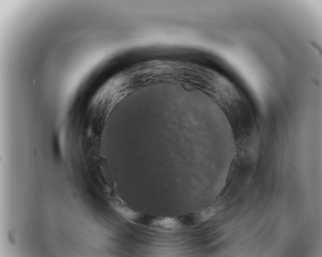 X0000095930431200801181444