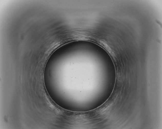 X0000095930433200801181443