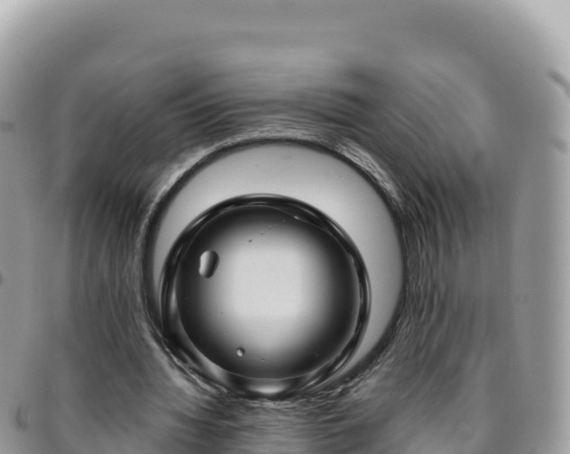 X0000095930436200801181443