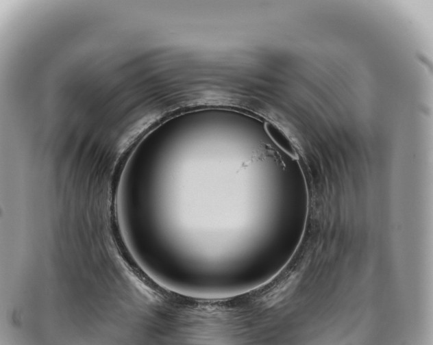 X0000095930437200801181443