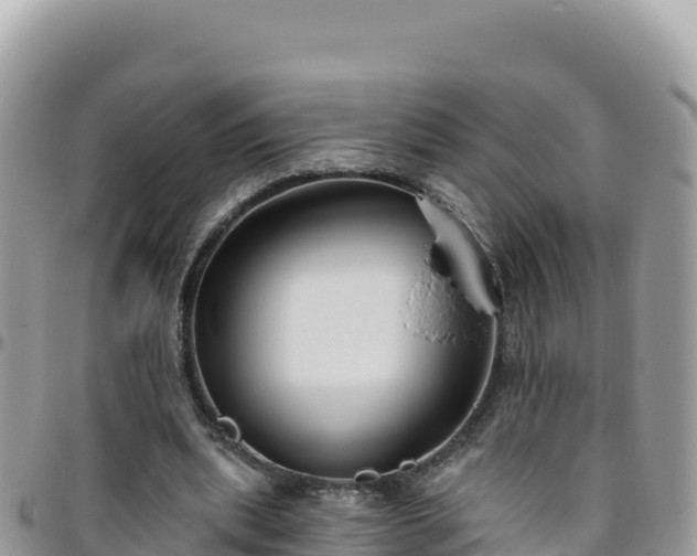 X0000095930439200801181443