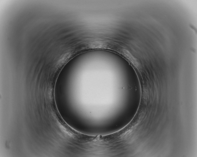 X0000095930441200801181443