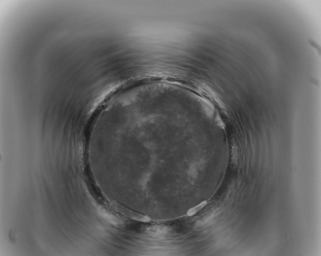X0000095930444200801181443