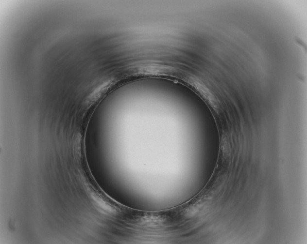 X0000095930445200801181443