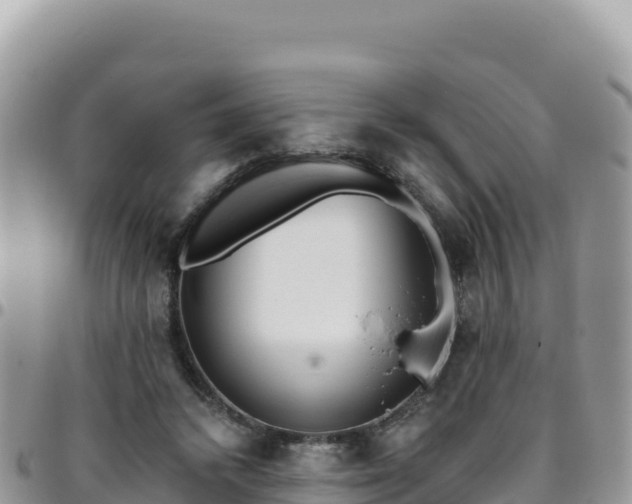 X0000095930448200801181443