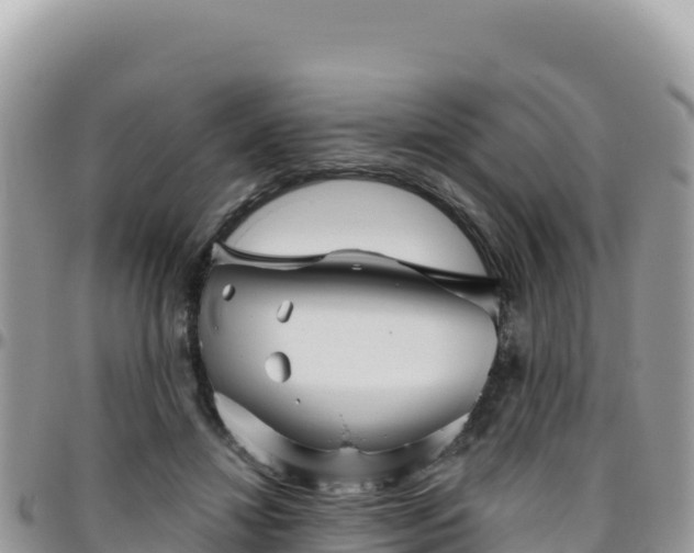 X0000095930452200801181444