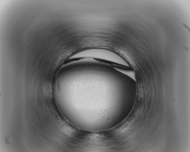 X0000095930453200801181444