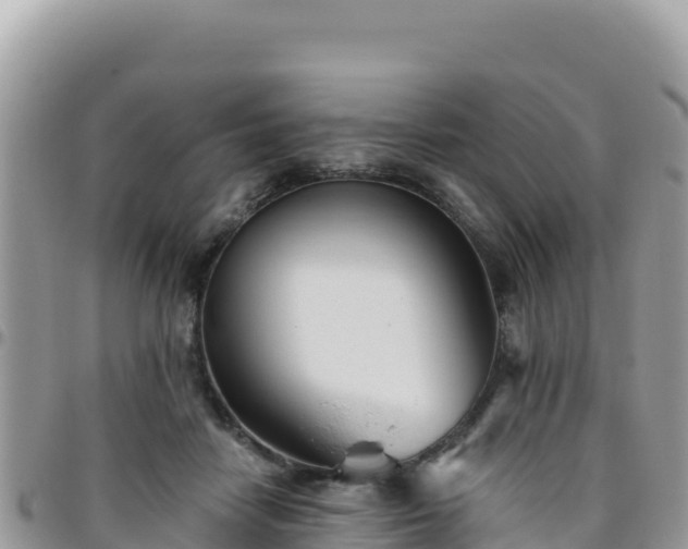 X0000095930458200801181444