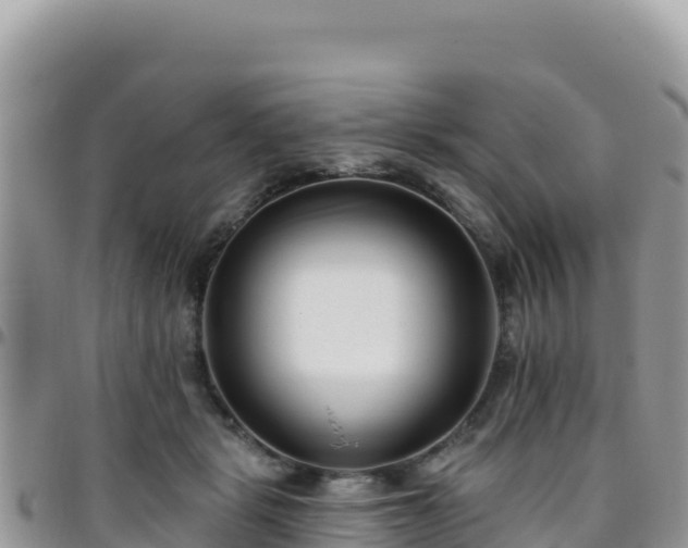 X0000095930461200801181444
