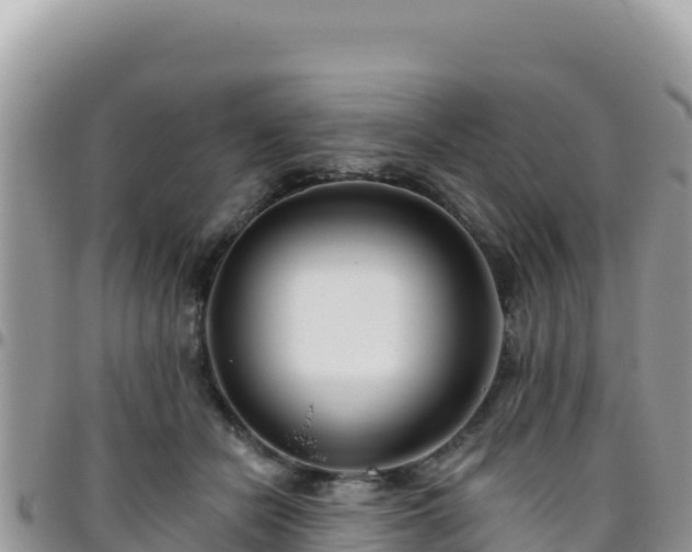 X0000095930462200801181444