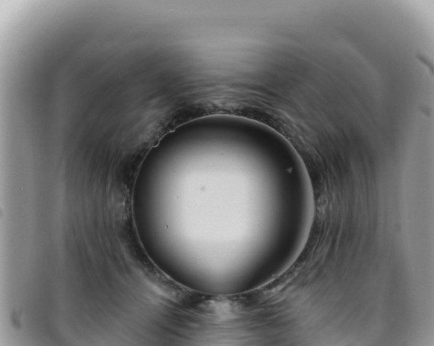 X0000095930464200801181444