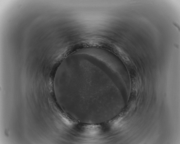 X0000095930465200801181444