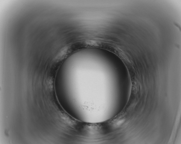 X0000095930466200801181444
