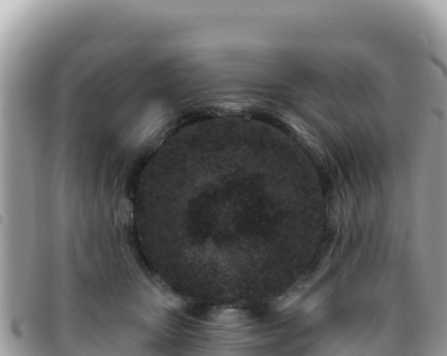 X0000095930467200801181444