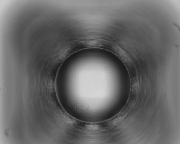 X0000095930469200801181444