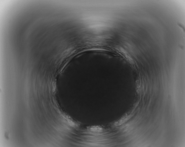 X0000095930471200801181444