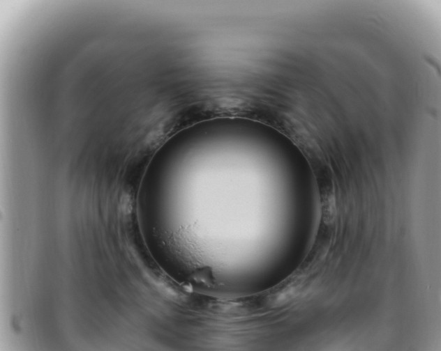 X0000095930472200801181444