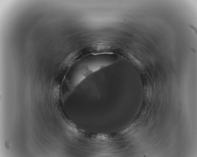 X0000095930475200801181444
