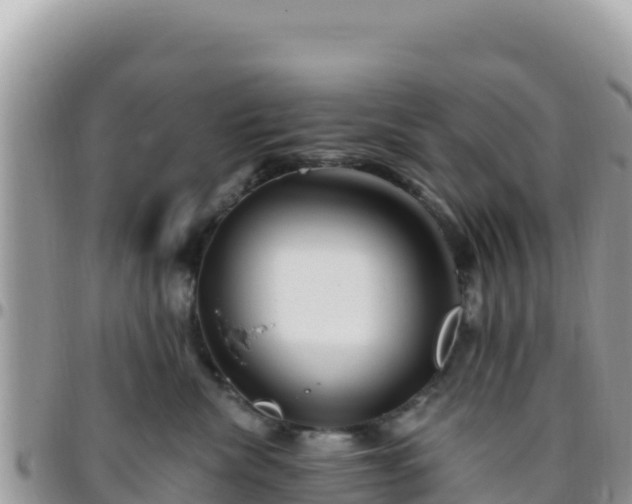 X0000095930476200801181444