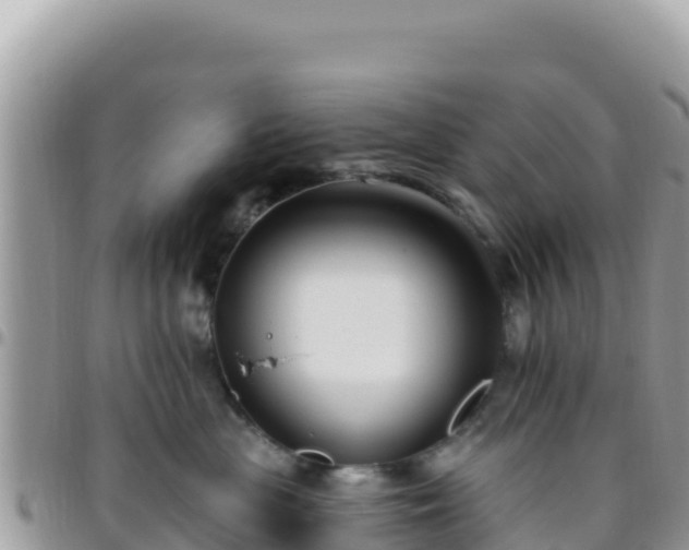X0000095930477200801181444