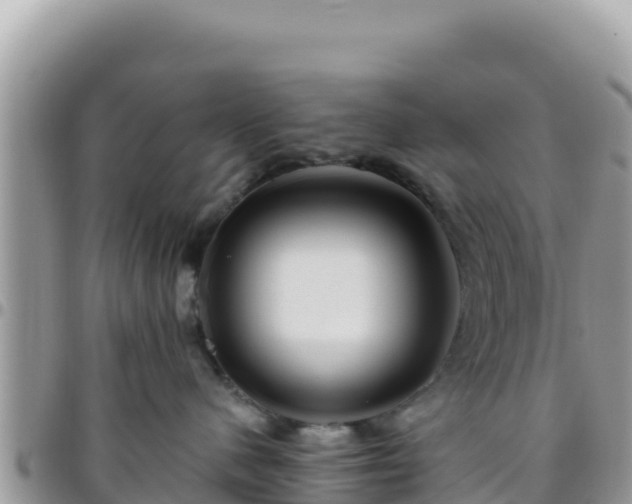 X0000095930480200801181444