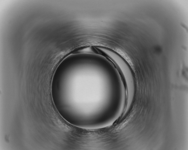 X0000095930481200801181443