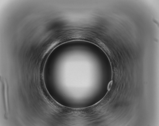 X0000095930482200801181443
