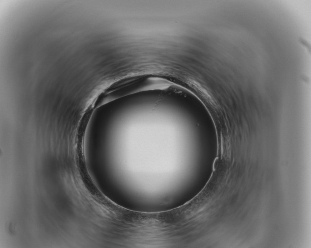 X0000095930483200801181443