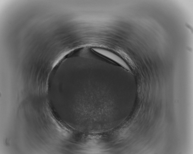 X0000095930484200801181443
