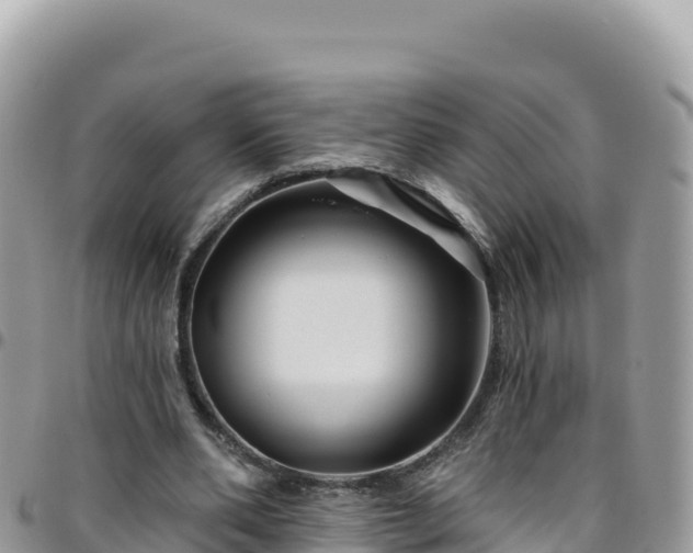X0000095930486200801181443