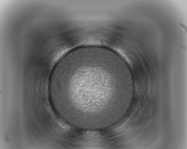 X0000095930487200801181443