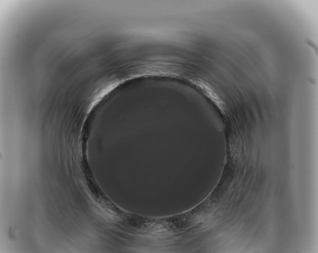 X0000095930488200801181443