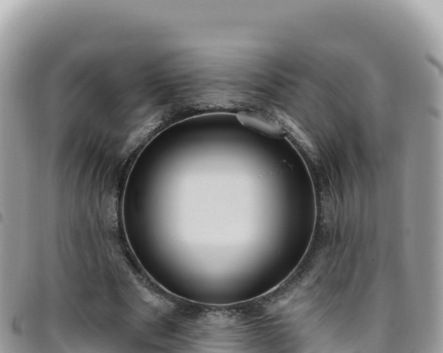 X0000095930489200801181443