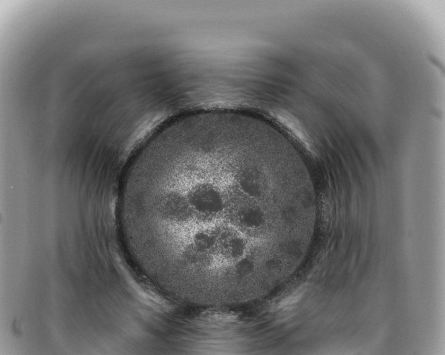 X0000095930491200801181443
