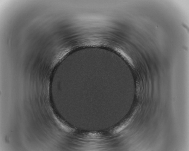 X0000095930493200801181443
