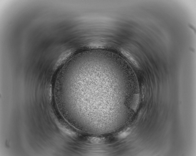 X0000095930494200801181443