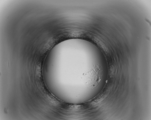 X0000095930497200801181443