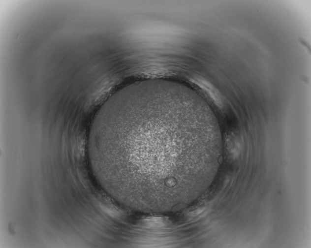 X0000095930499200801181443