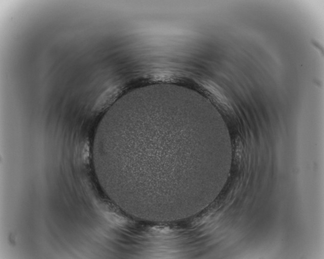 X0000095930502200801181443