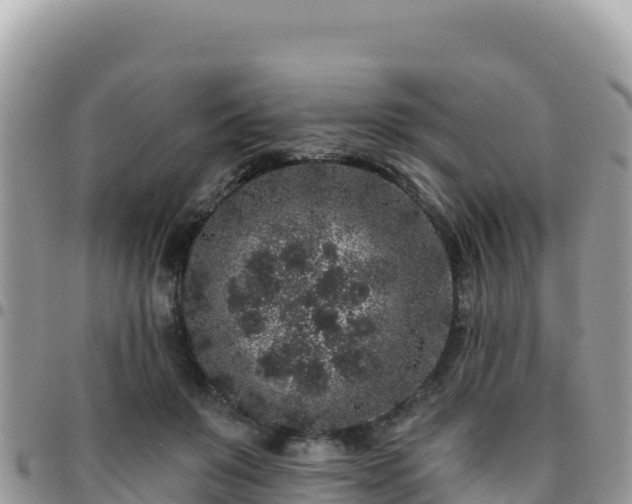 X0000095930503200801181443