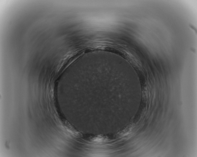 X0000095930504200801181443