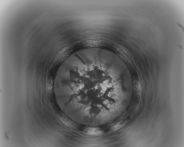 X0000095930507200801181443