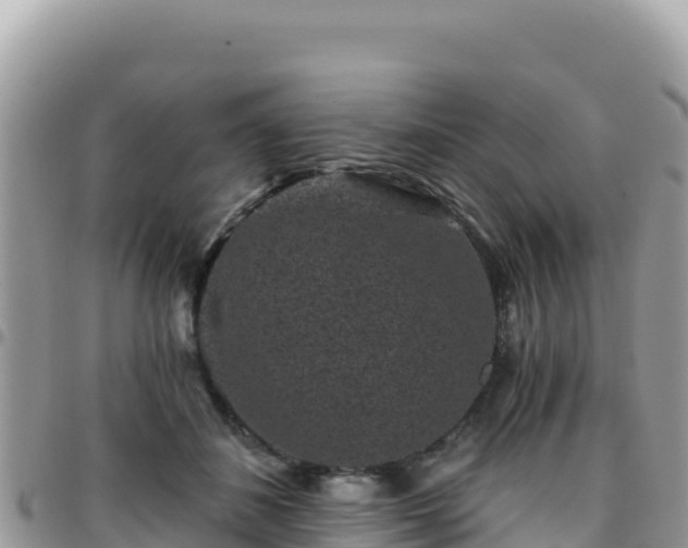 X0000095930508200801181443