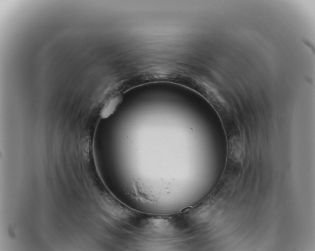X0000095930509200801181443