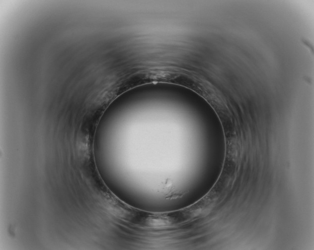 X0000095930510200801181443