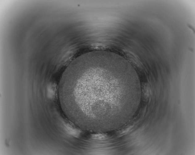 X0000095930511200801181443