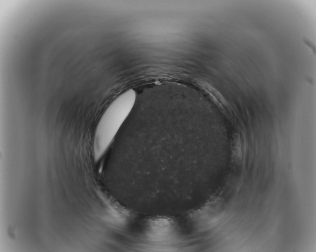 X0000095930513200801181443