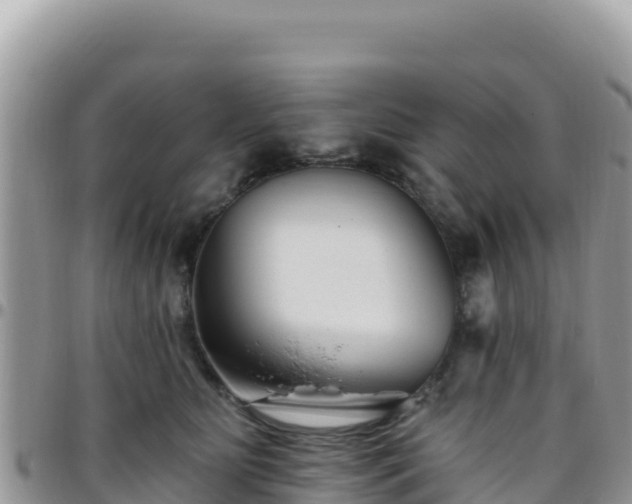 X0000095930515200801181443