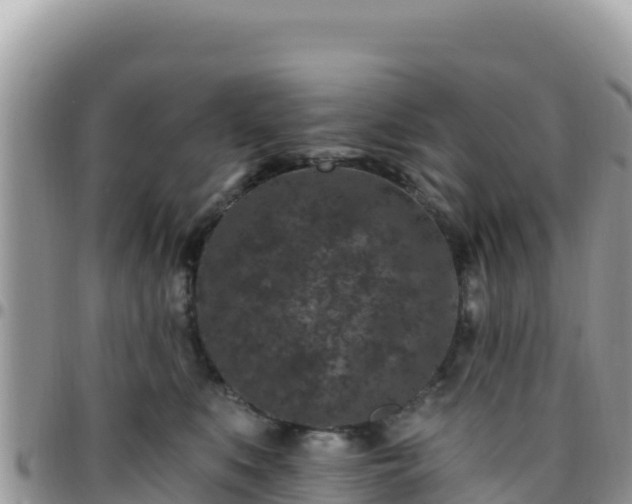 X0000095930519200801181443